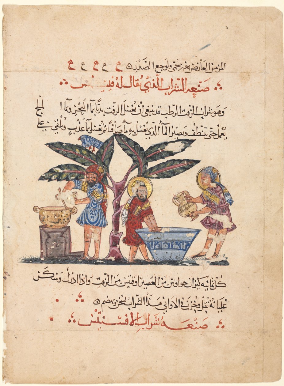 Folio Dioscoridesin Materia Medican arabiankielisestä käännöksestä tekijältä Abdallah ibn al Fadl (Iraq)