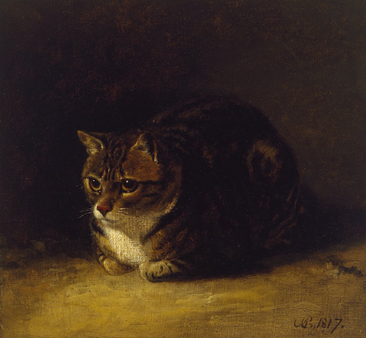 Tutkimus kissasta, 1817 (öljy paneelille, kiinnitetty piirustukseksi) tekijältä Abraham Cooper