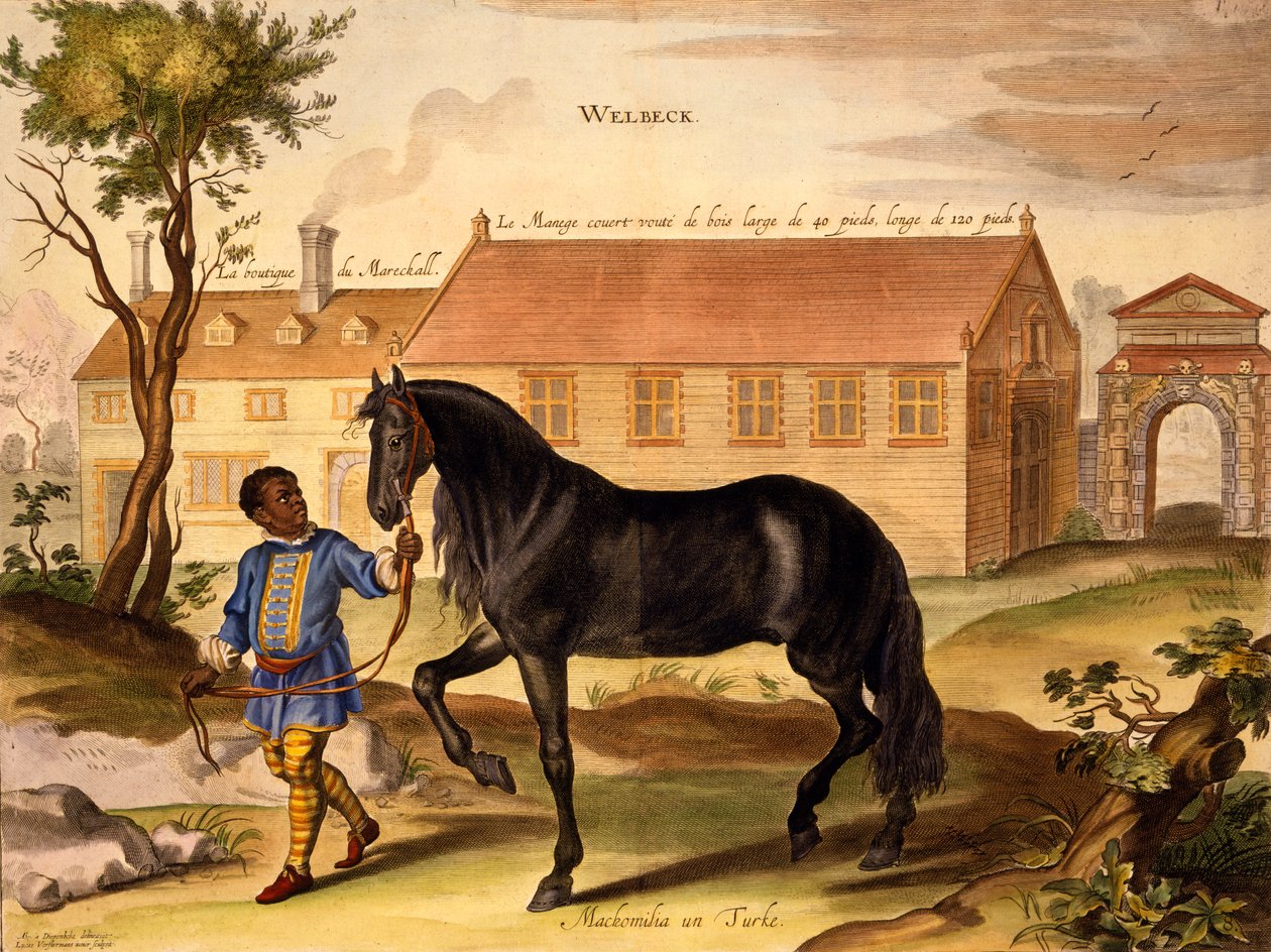 Makomilia, turkkilainen, jota johtaa neekeritallipoika väreissä, William Cavendishin teoksesta "The Method and New Invention of Dressing Horses", julkaistu 1737 (2. painos) (akvatinta) tekijältä Abraham van Diepenbeeck