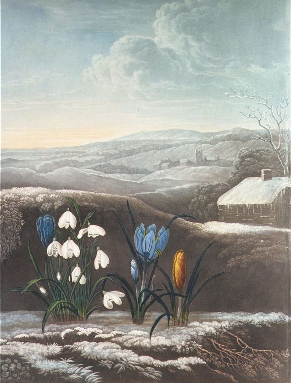 Lumikello, Wardin kaivertama, luultavasti 1800-luvun alussa (akvatinta ja arabikumi) tekijältä Abraham Pether