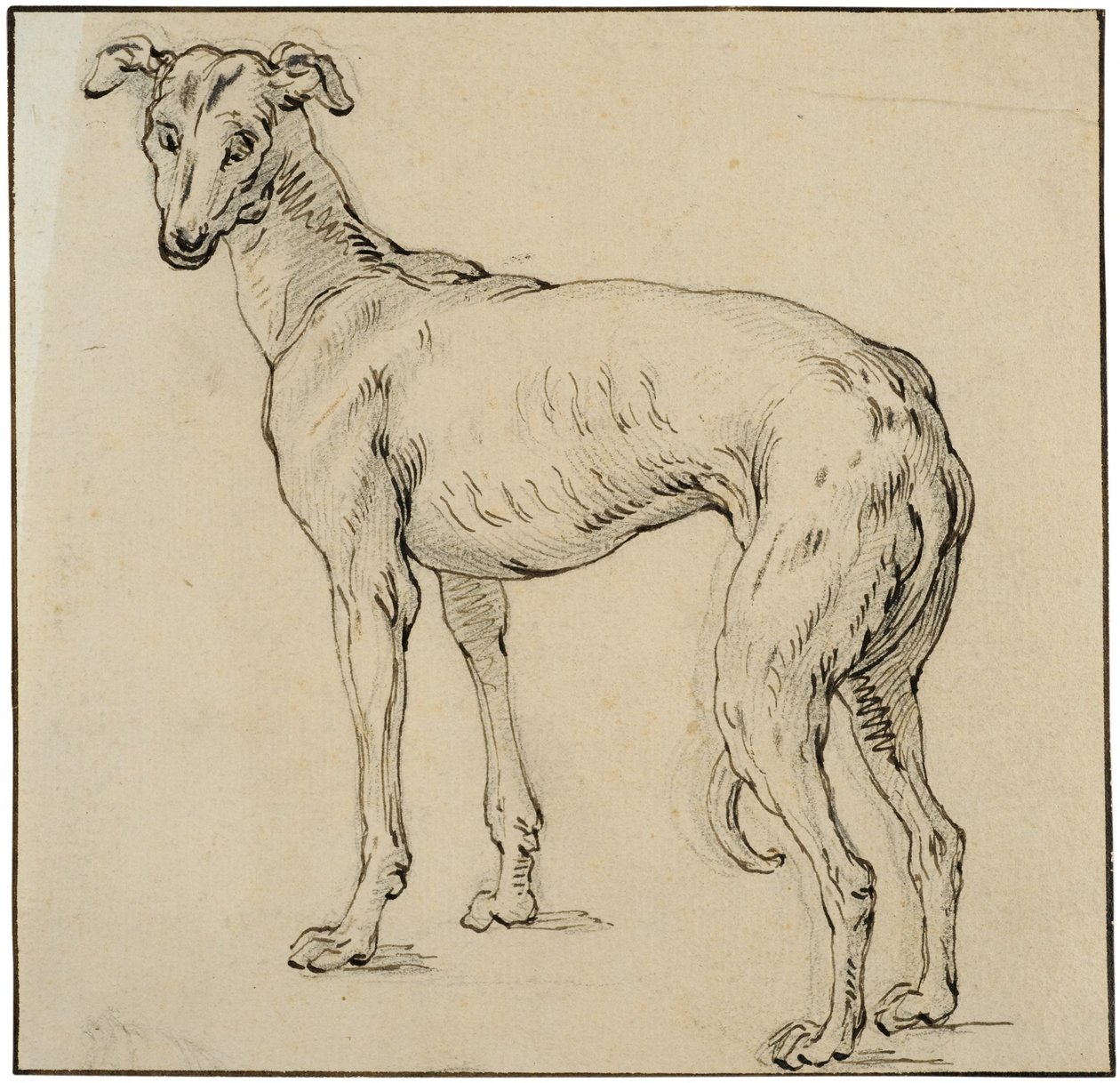 Greyhound tekijältä Abraham Bloemaert
