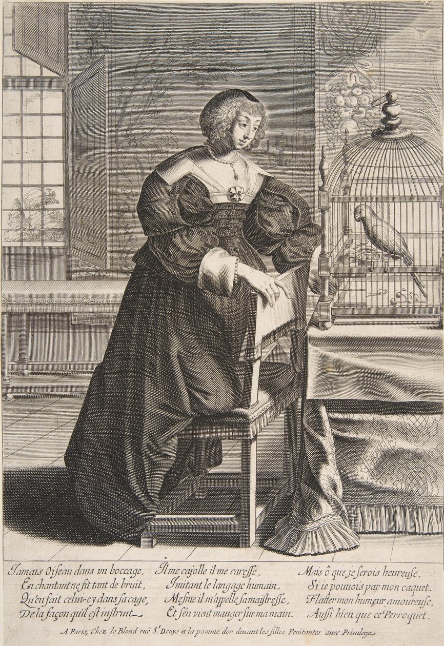 Papukaija, 1620-76. tekijältä Abraham Bosse