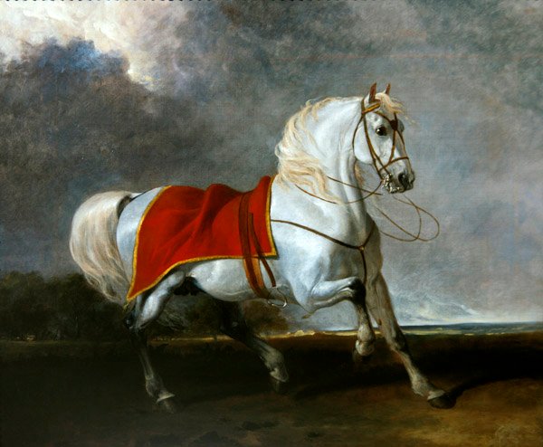 Myrskyn pelästynyt satuloitu harmaa laturi, nimeltään "Millenium" tekijältä Abraham Cooper
