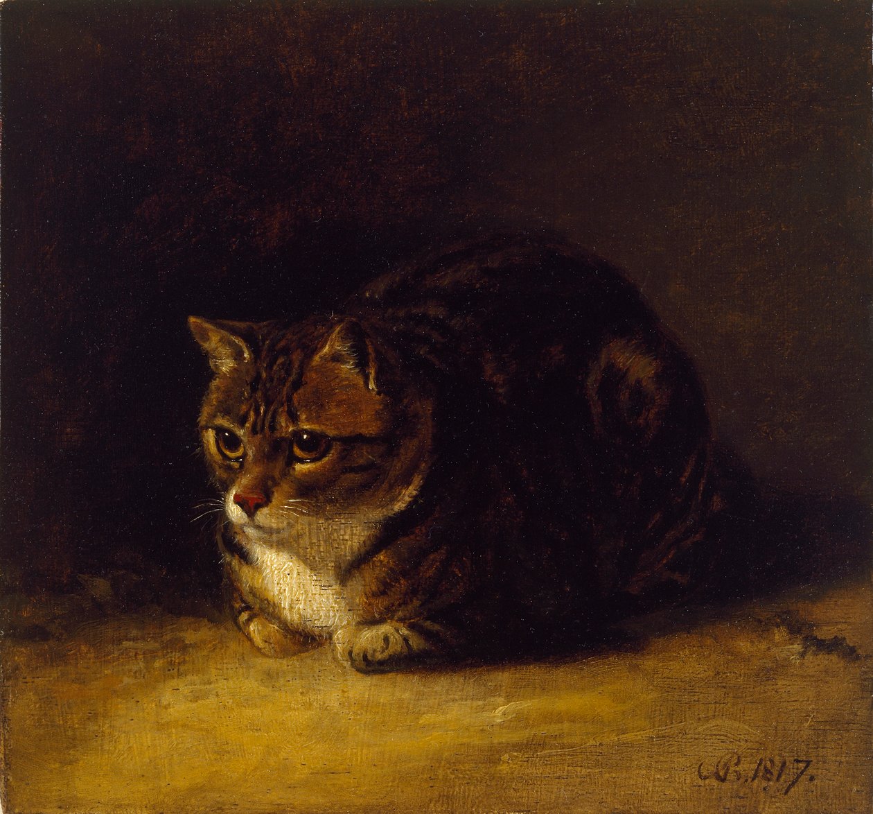 Tutkimus kissasta, 1817 tekijältä Abraham Cooper