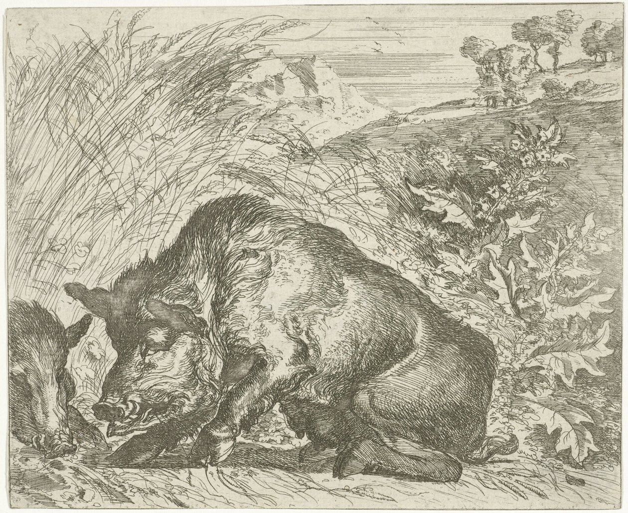 Villisika Eri eläimet (sarjan nimi) tekijältä Abraham Danielsz. Hondius