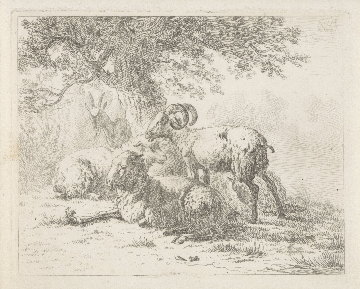 Lammas ja vuohi tekijältä Abraham Hendrik Winter