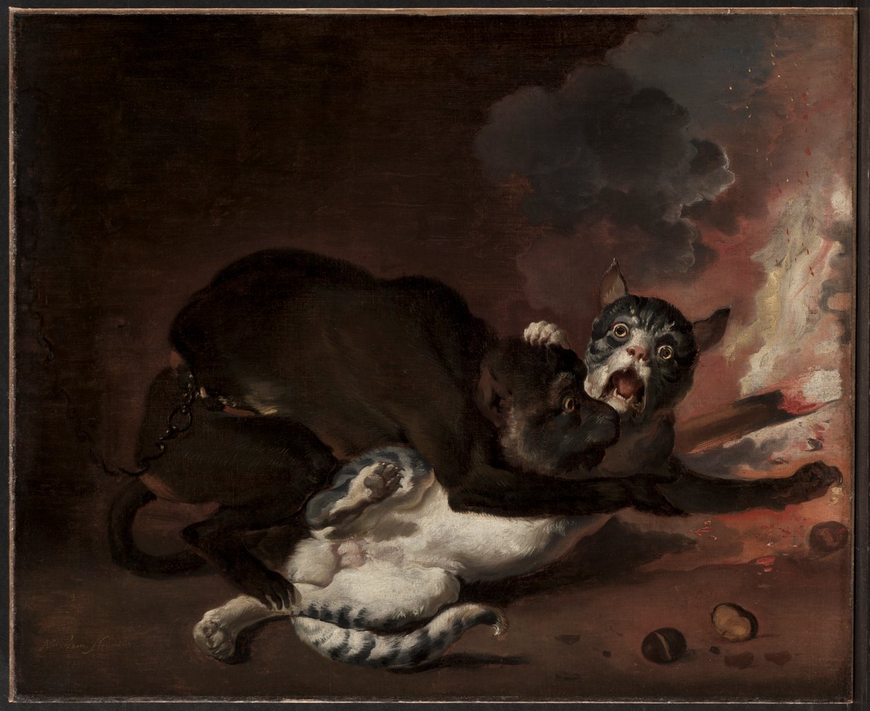 Apina ja kissa tekijältä Abraham Hondius
