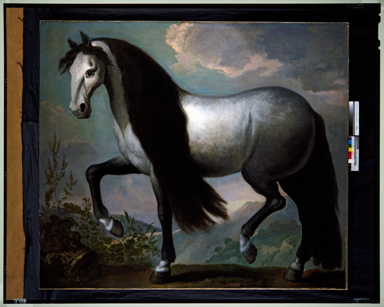 Hevonen maisemassa tekijältä Abraham Jansz. van Diepenbeeck