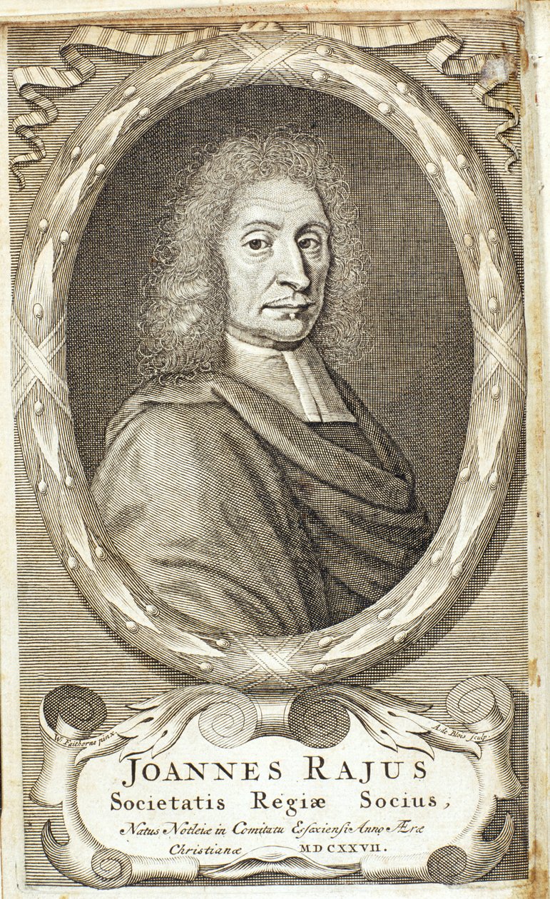 John Ray, englantilainen luonnontieteilijä, 1680-luku tekijältä Abraham de Blois