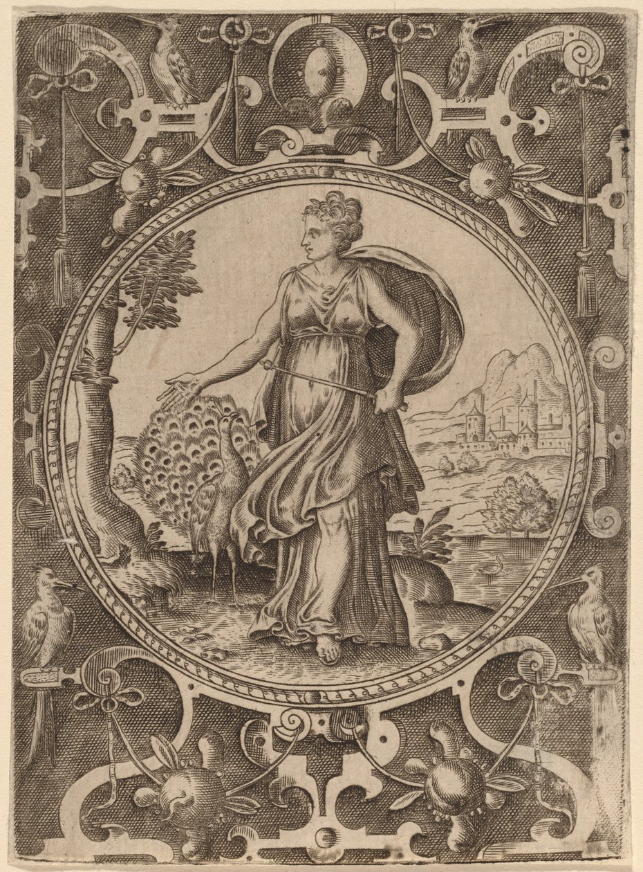 Juno tekijältä Abraham de Bruyn