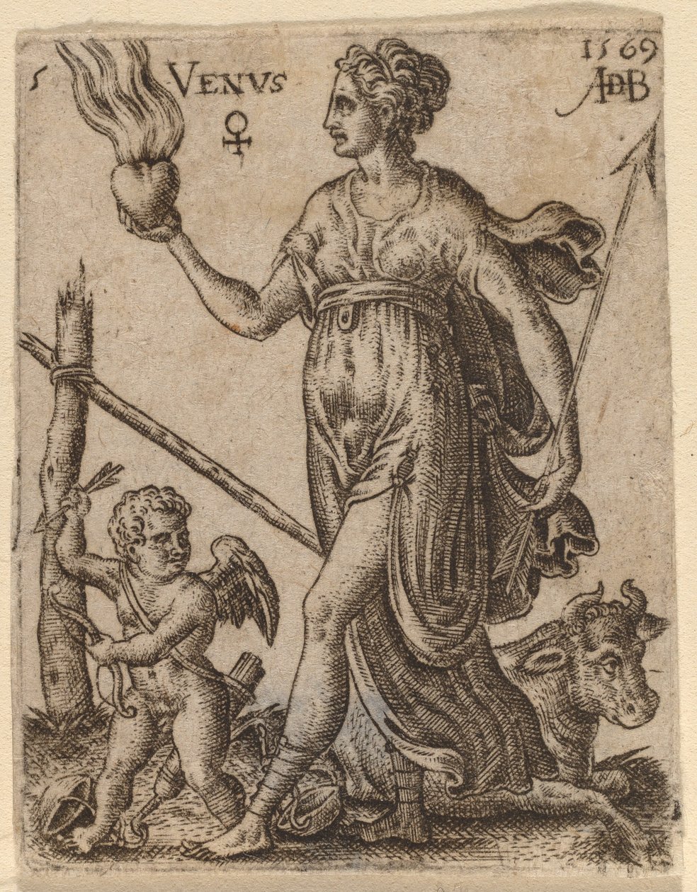 Venus tekijältä Abraham de Bruyn