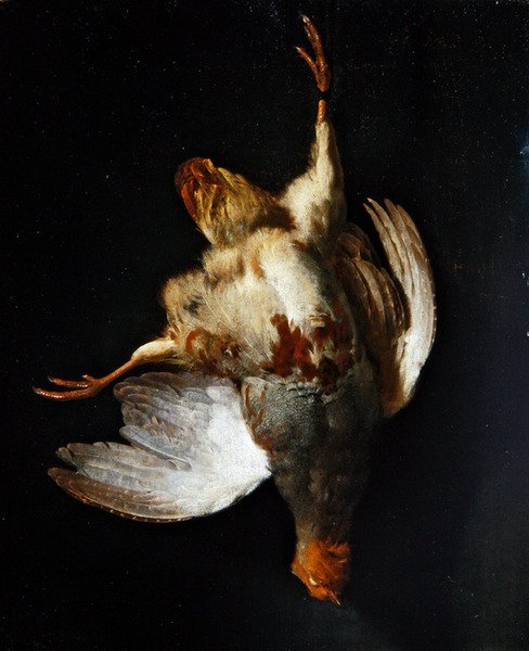 Asetelma, jossa pelto roikkuu naulassa (öljy paneelissa) tekijältä Abraham van Calraet