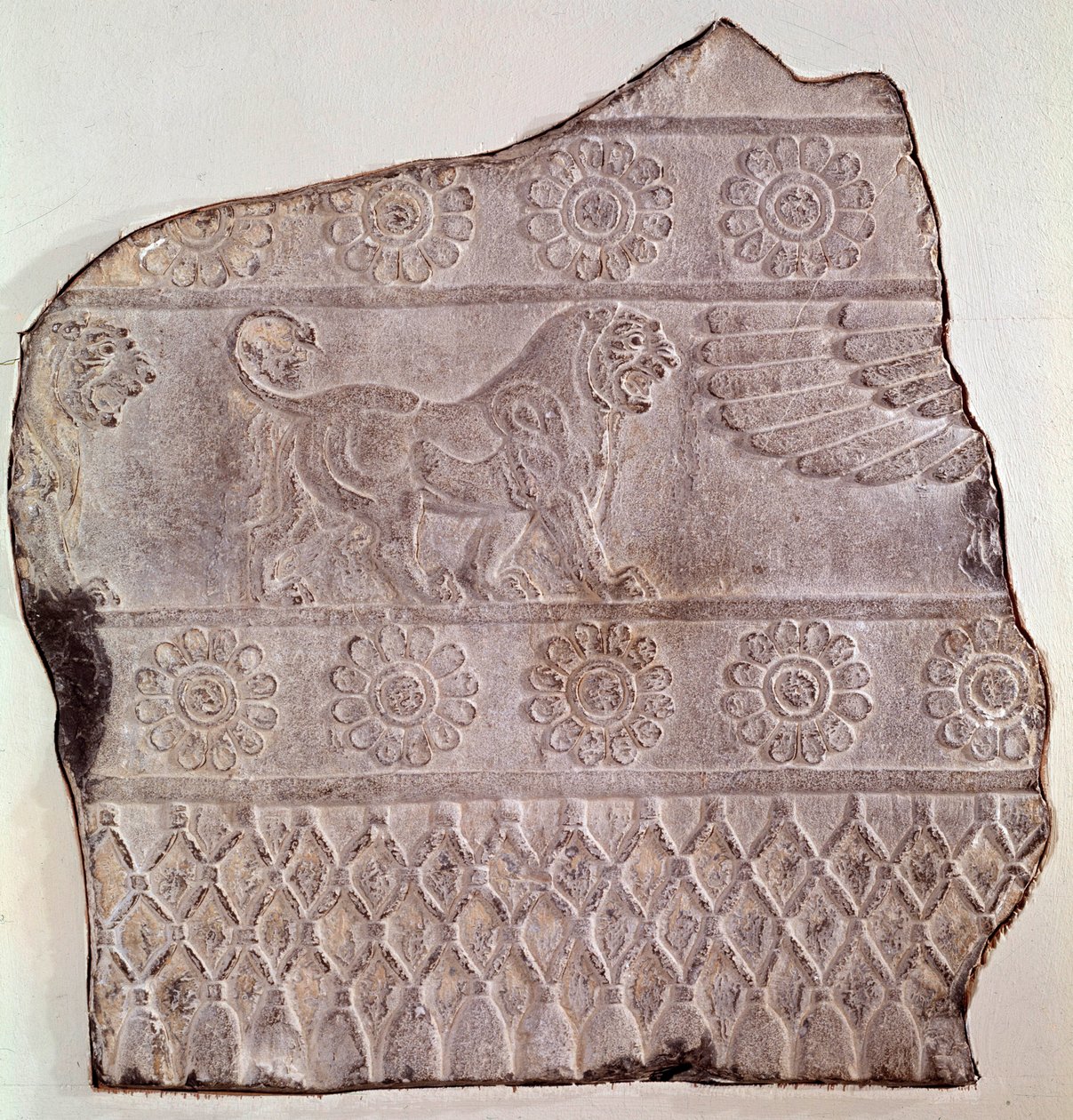 Fragmentti matalasta kohokuviosta, joka edustaa kävelevää leijonaa. Persepolis (Iran) Epoque Routenide, 460 eaa. Seattle, taidemuseo tekijältä Achaemenid
