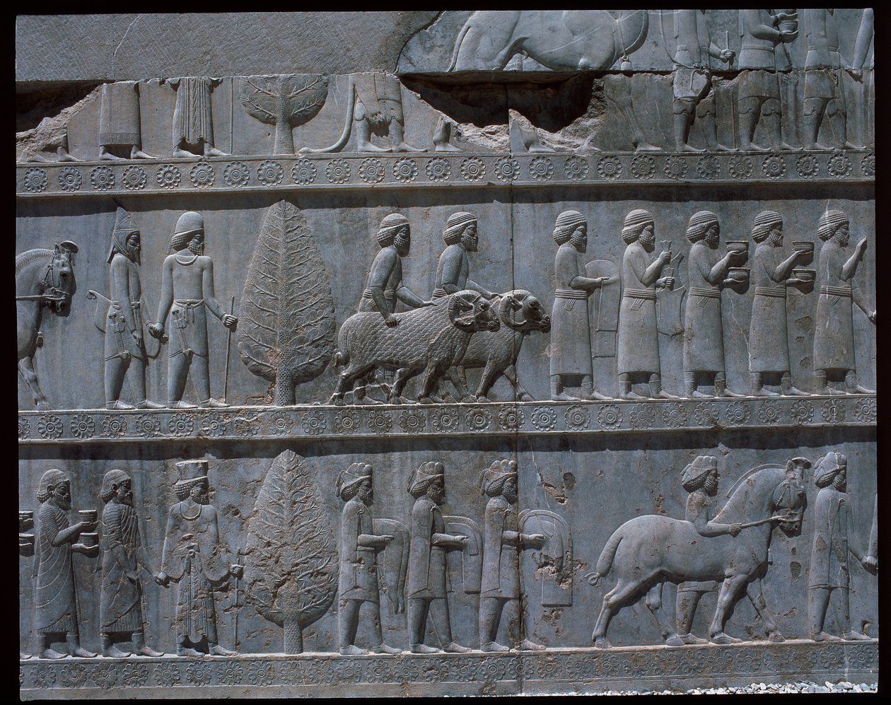 Näkymä itäisten portaiden kohokuvioista tekijältä Achaemenid