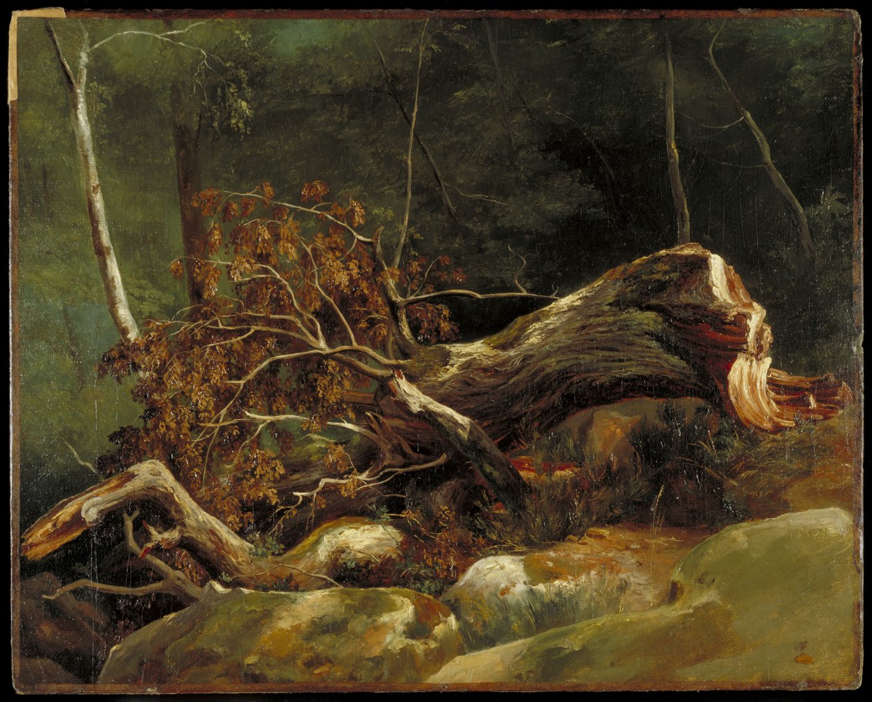 The Fallen Branch, Fontainebleau, n. 1816 (öljy kankaalle kortilla) tekijältä Achille Etna Michallon
