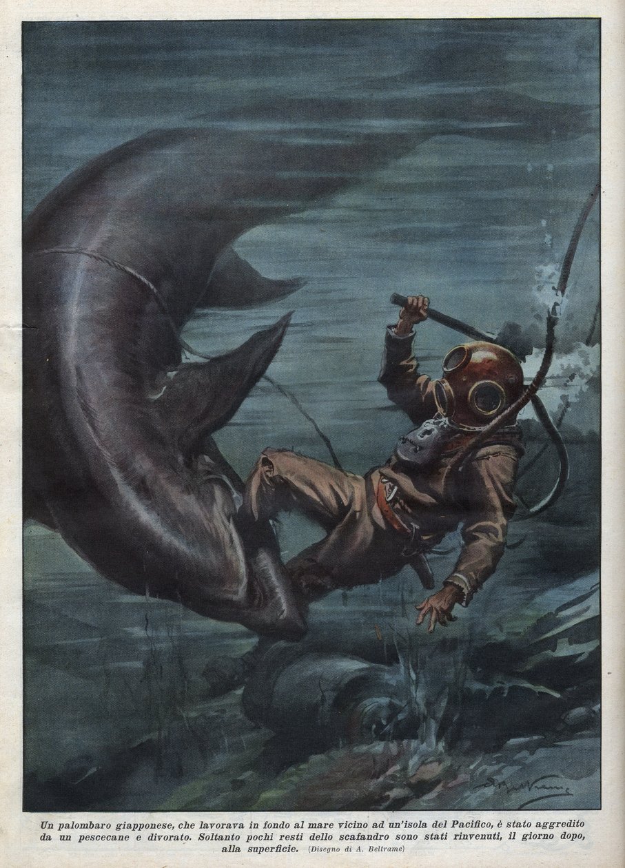 Hai nielaisi Tyynellämerellä japanilaisen sukeltajan, jolla oli scaphandler. Achille Beltramen kuvitus teoksesta "La domenica del corriere" 8.8.1937. tekijältä Achille Beltrame