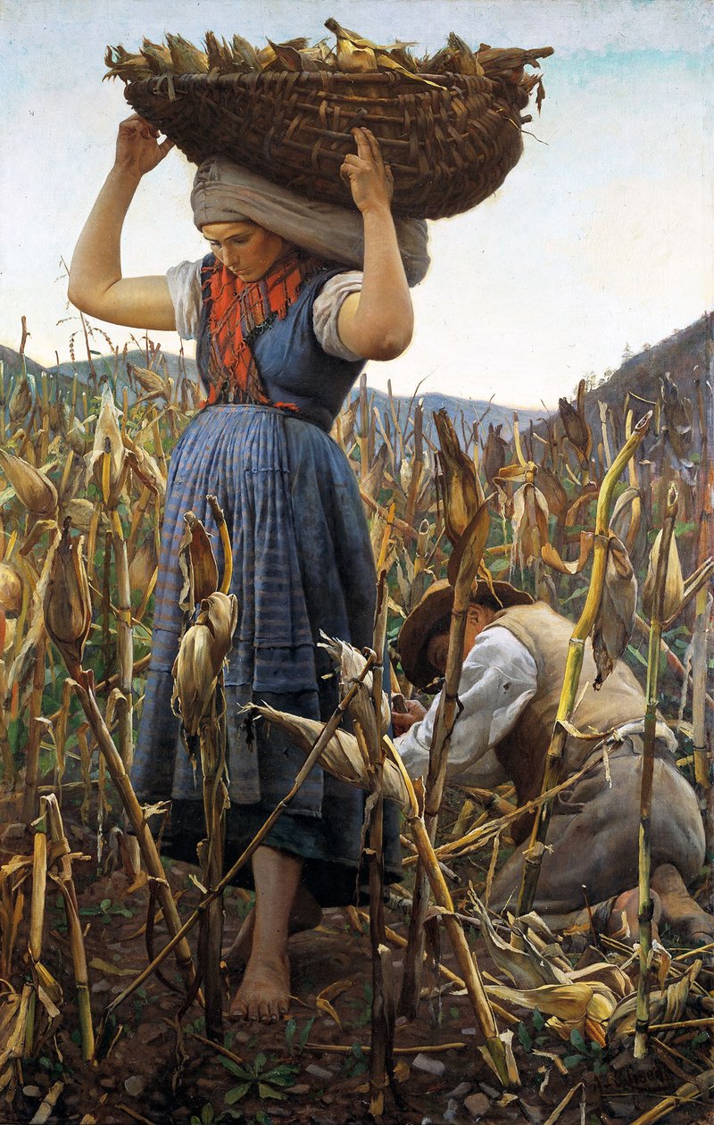 Maissisato, 1881. tekijältä Achille Glisenti