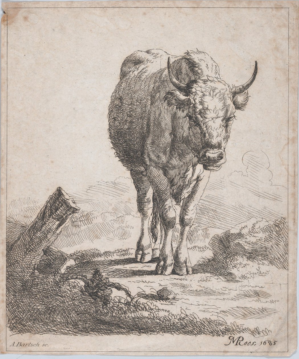 Lehmä edestä katsottuna, 1805. tekijältä Adam von Bartsch