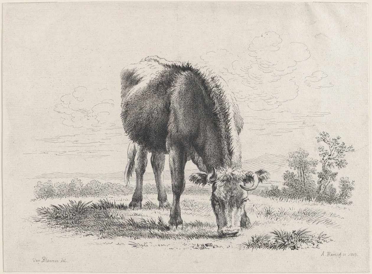 Lehmän laiduntaminen, 1805, 1805. tekijältä Adam von Bartsch