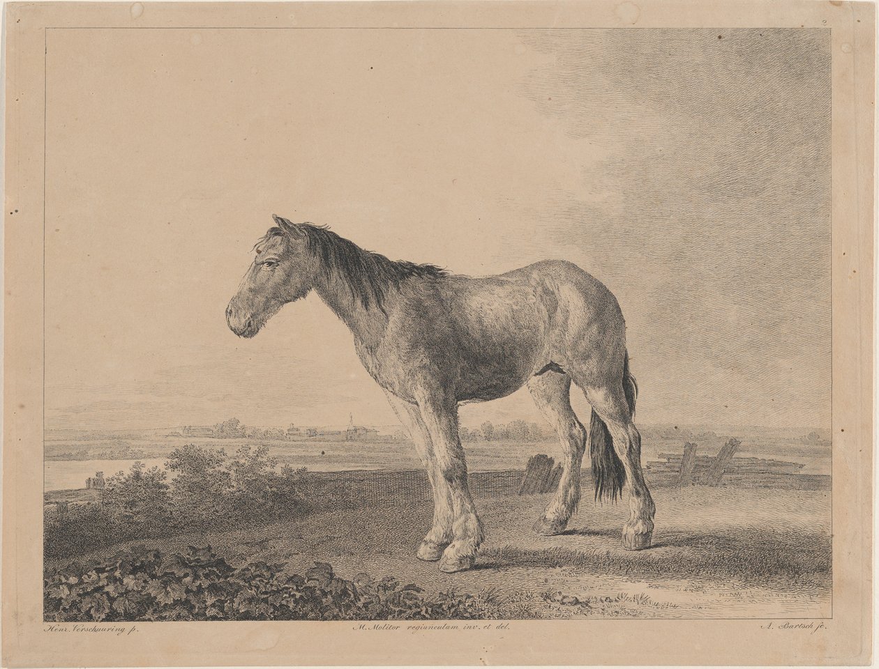 Hevonen seisoo pellolla profiilissa vasemmalla, 1809. tekijältä Adam von Bartsch