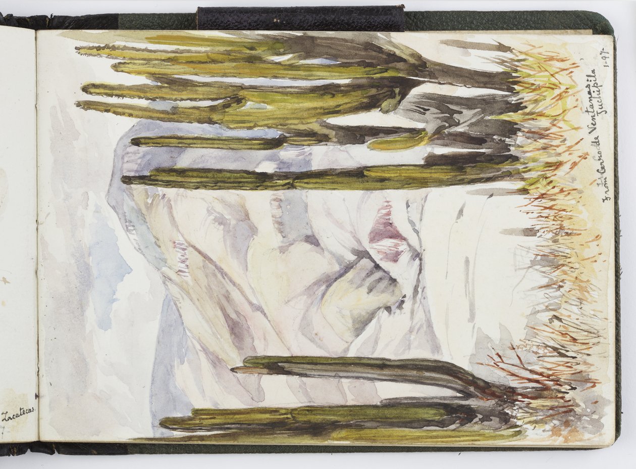 Luonnoskirja vesiväreistä, piirustuksia ja muistiinpanoja, Meksiko, 1896-1898 (akvarelli) tekijältä Adela Breton
