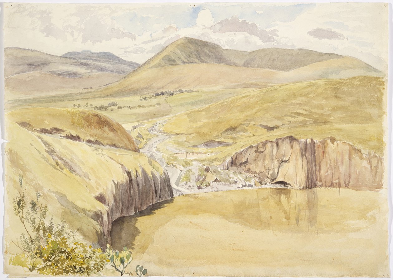 Alberea, lähellä Santiago del Vallea, Guanajuato, Meksiko (akvarelli) tekijältä Adela Breton