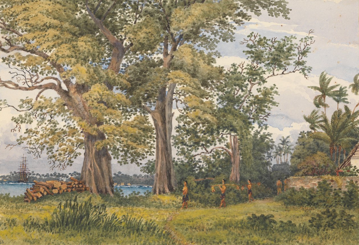 "Apian lahti, Upolu, Navigaattorisaaret, [Samoa] sairaalahuoneeni verannalta, 6. marraskuuta 1849". tekijältä Admiral Sir Edward Gennys Fanshawe