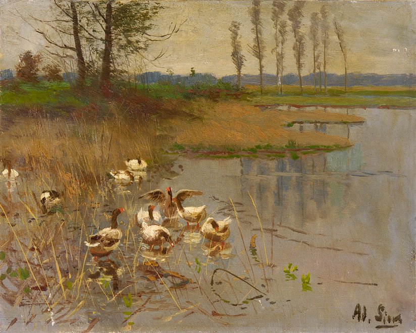 Seelandschaft mit Gansen tekijältä Adolf Lins