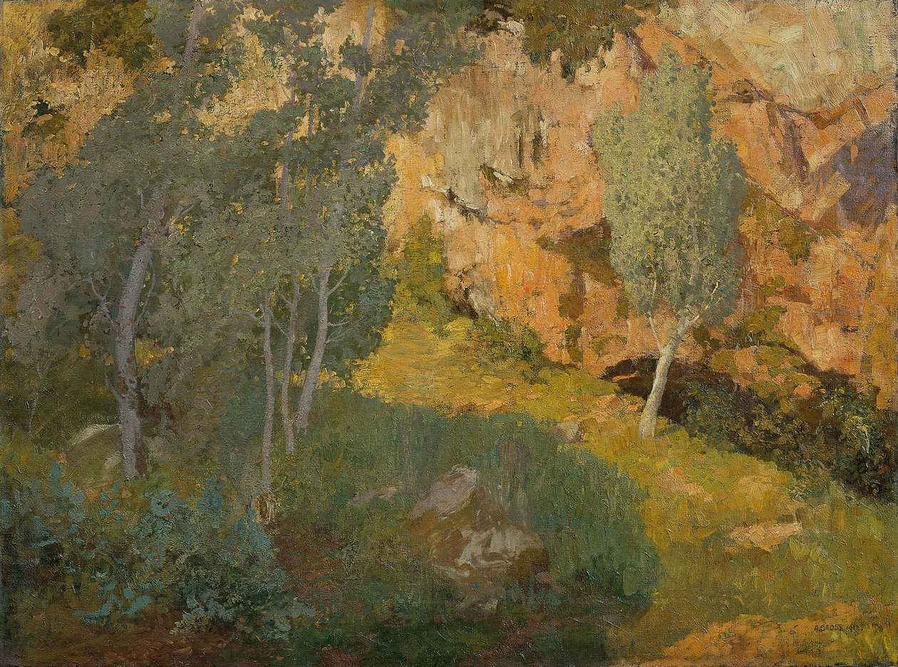 Aurinkoinen kivinen laakso tekijältä Adolf Gross