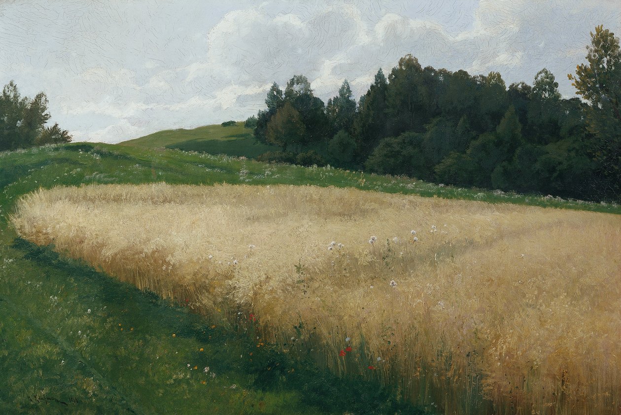 Kaurapelto tekijältä Adolf Kaufmann