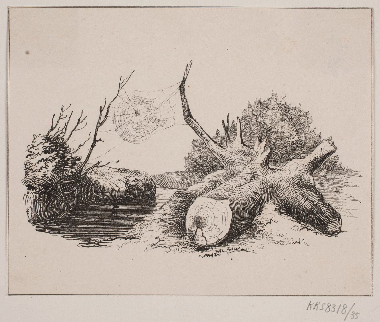 Ederkoppen tekijältä Johan Adolph Kittendorff