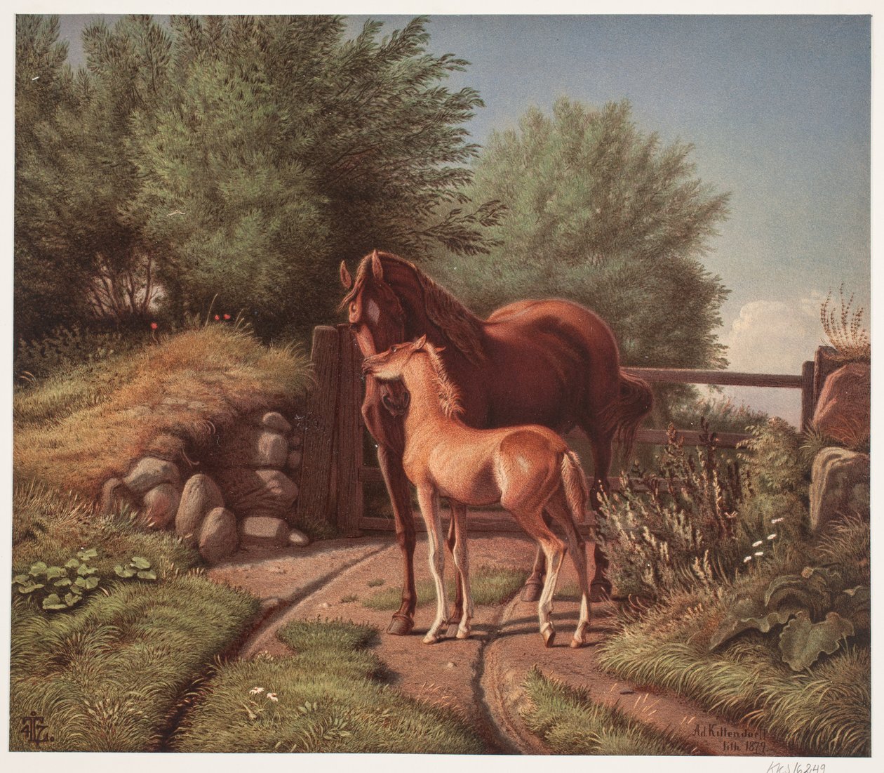Tamma varsansa kanssa tekijältä Johan Adolph Kittendorff
