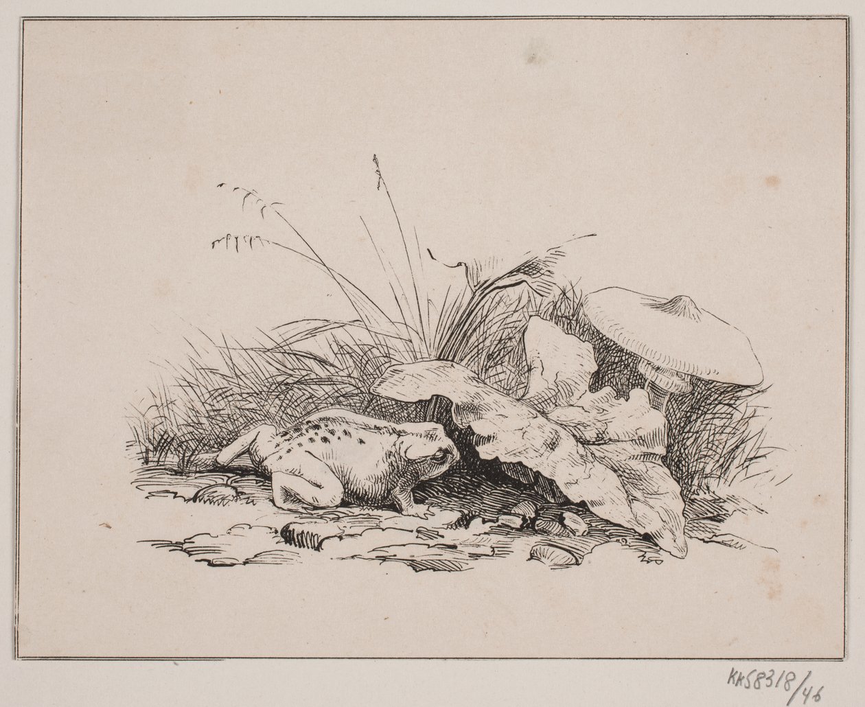 Rupikonna tekijältä Johan Adolph Kittendorff