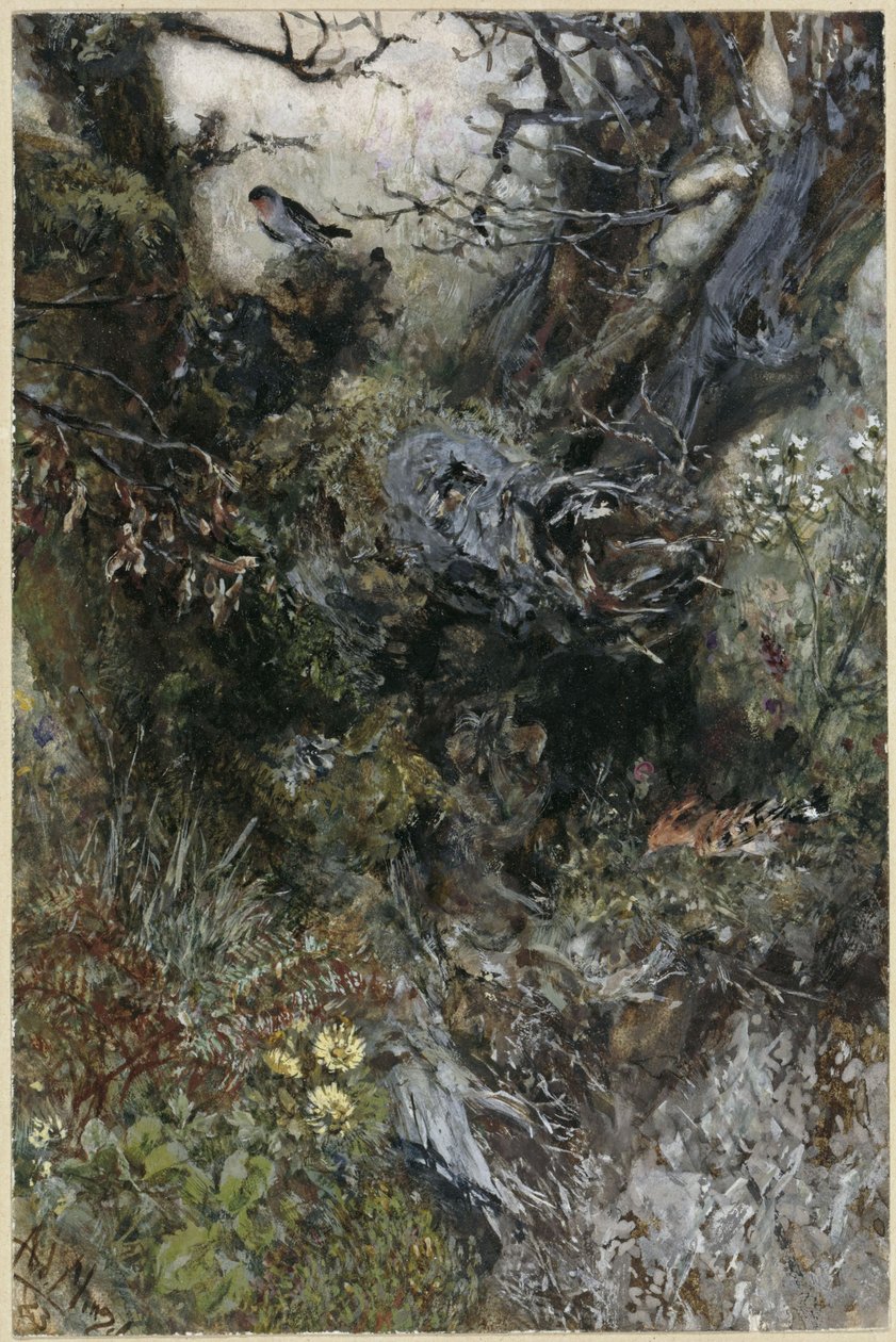 Puunkanto, punarinta ja harjalintu. "Lastenalbumista" tekijältä Adolph Menzel