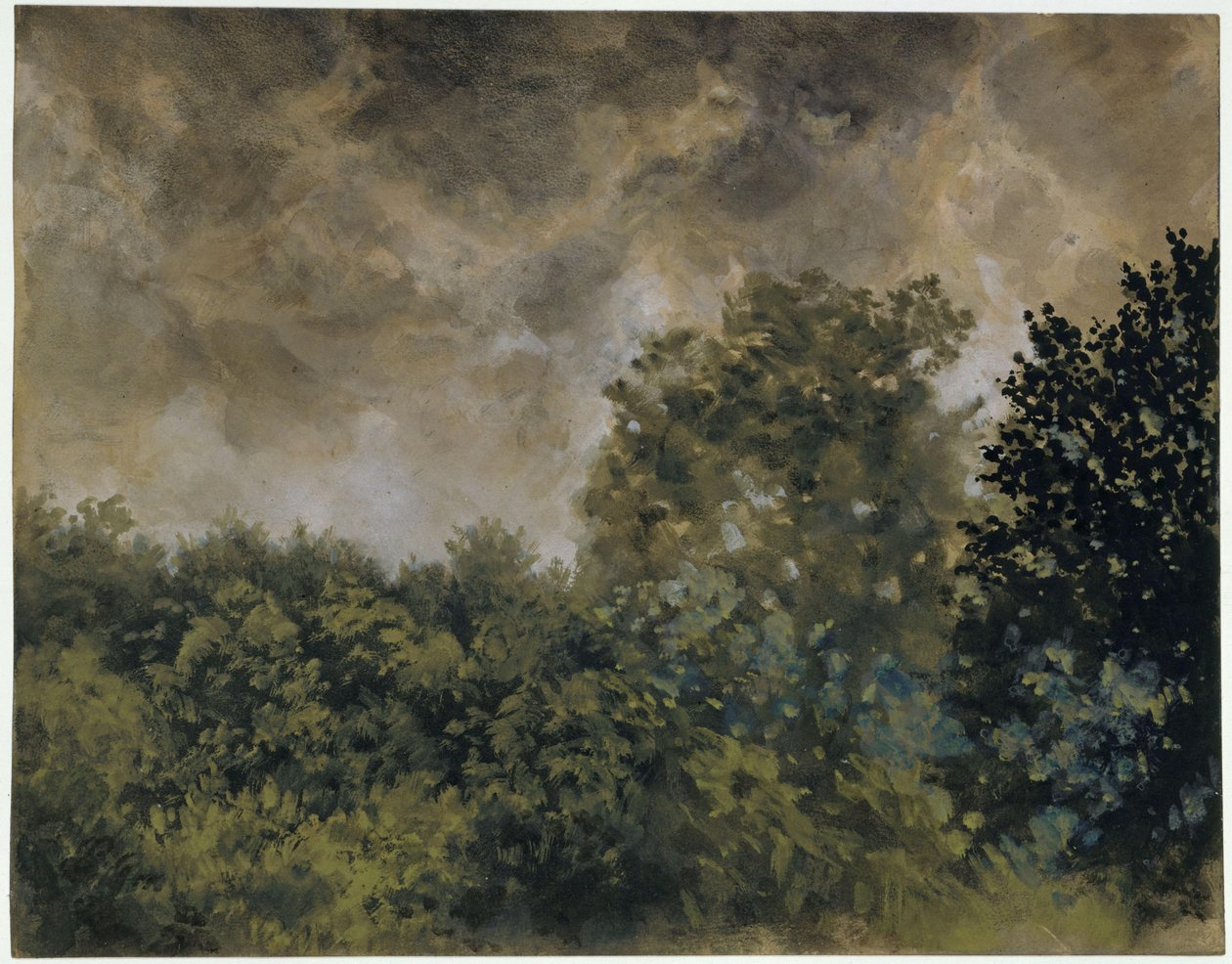 Näkymä lehtipuustoon tekijältä Adolph Menzel