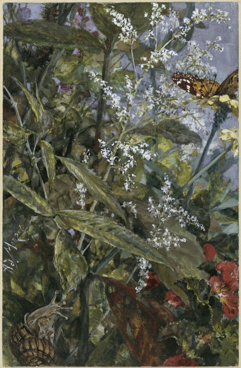 Kukkia, perhonen ja etana. Teoksesta ”Lastenalbumi” tekijältä Adolph Menzel