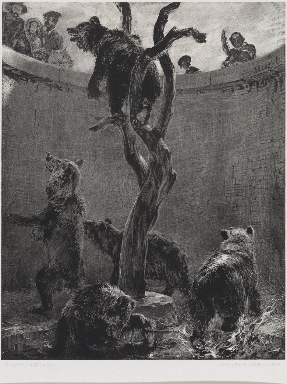 Karhuhäkki eläintarhassa tekijältä Adolph Menzel