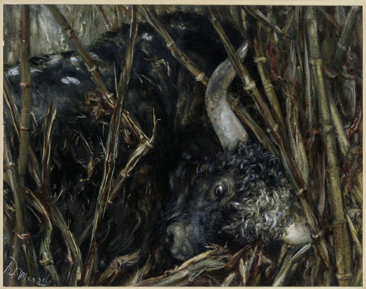 Jakkihärkä bambujen keskellä. Teoksesta "Kinderalbum" tekijältä Adolph Menzel