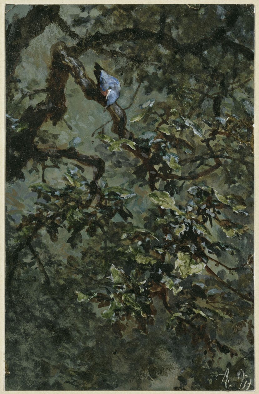 Sininen tikka lehvästössä. Teoksesta "Lastenalbumi" tekijältä Adolph Menzel
