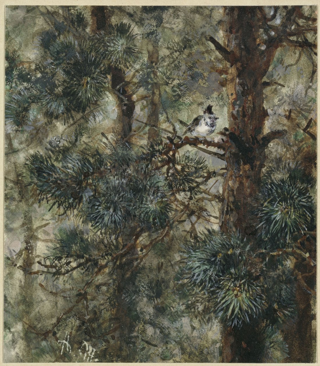 Hupputiainen männyn oksilla. Teoksesta ”Lastenalbumi” tekijältä Adolph Menzel