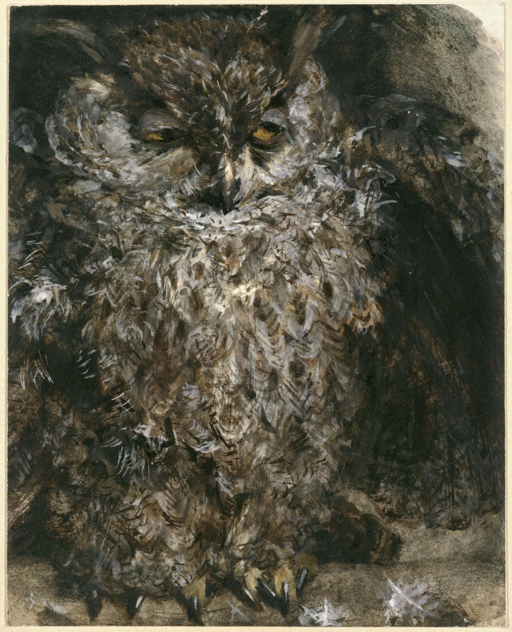 Sarvipöllö. Teoksesta "Lastenalbumi" tekijältä Adolph Menzel