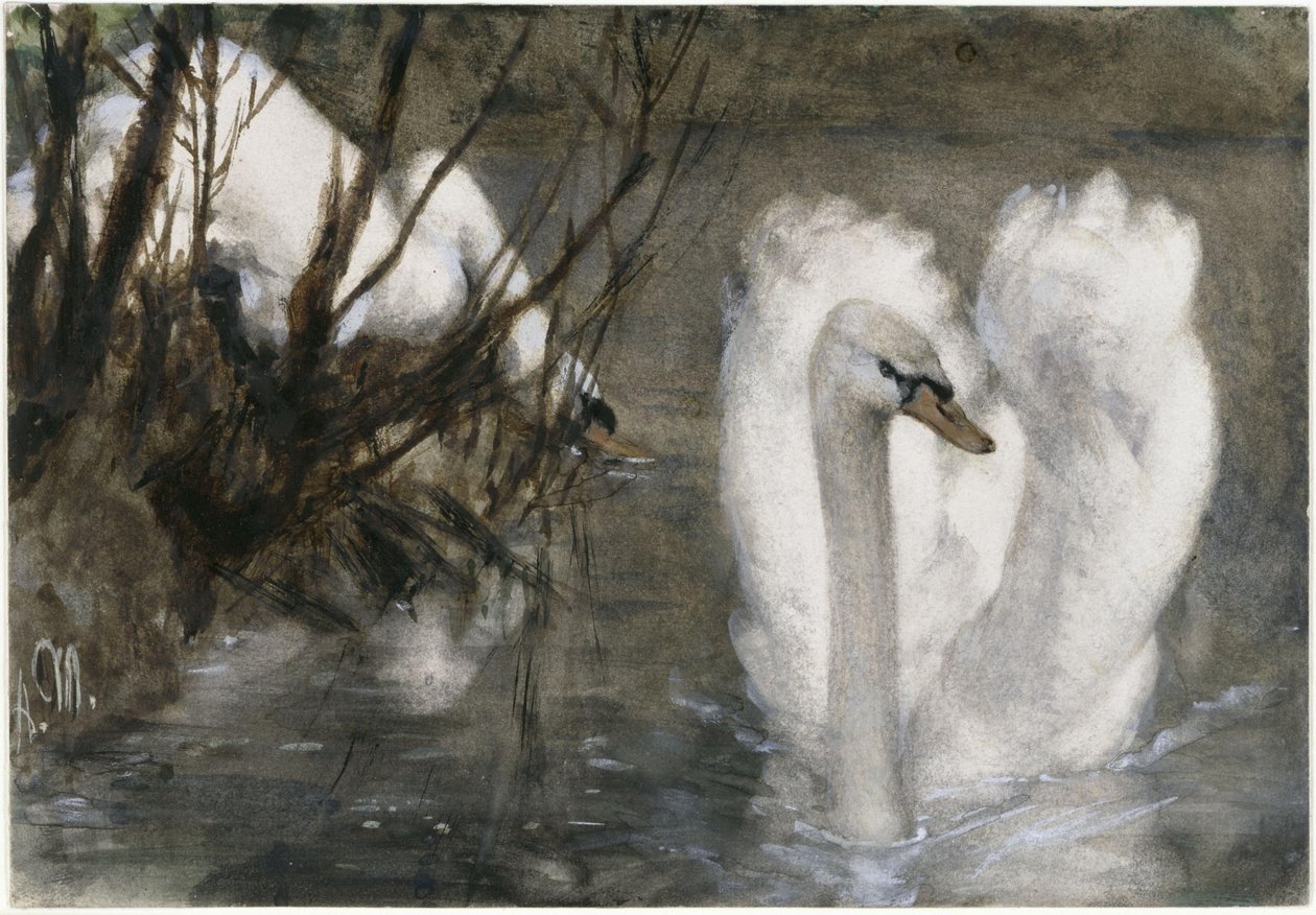 Kaksi joutsenta. "Lastenalbumista" tekijältä Adolph Menzel