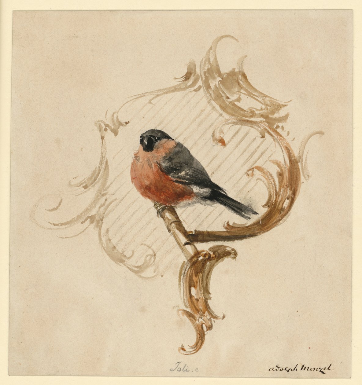 Punatulkku orrella rocaille-koristeen edessä tekijältä Adolph Menzel