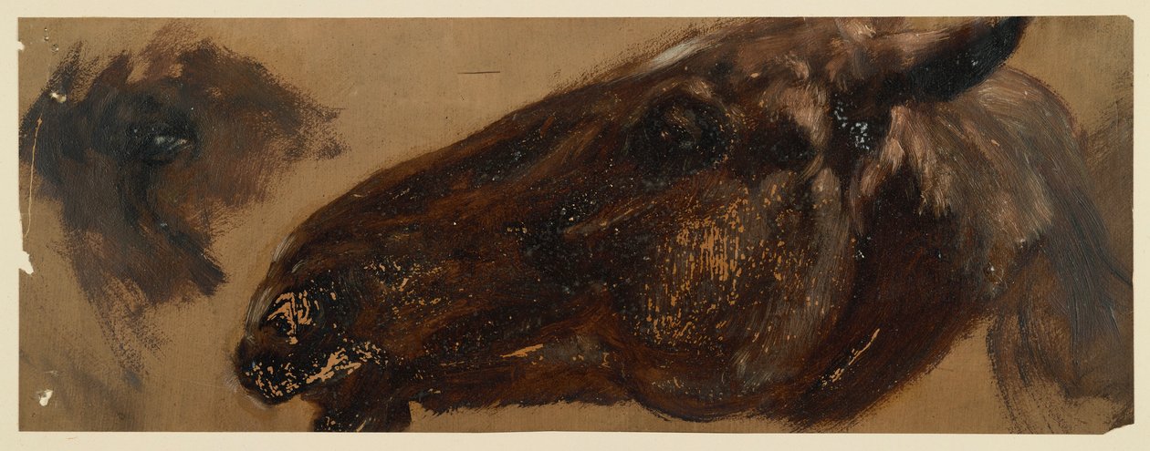 Hevosen pää vasemmalle, silmäalue toistuu tekijältä Adolph Menzel