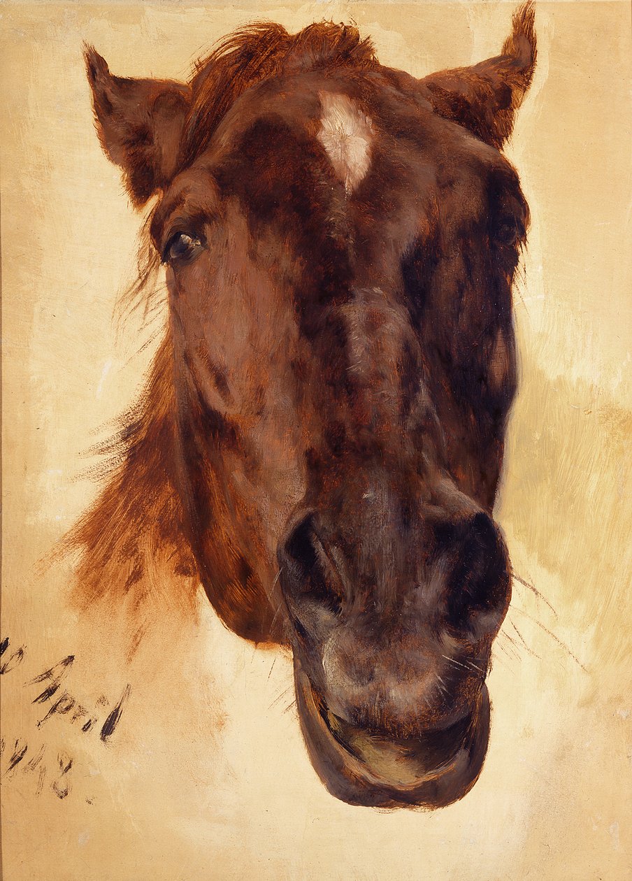 Hevosen pää tekijältä Adolph Menzel