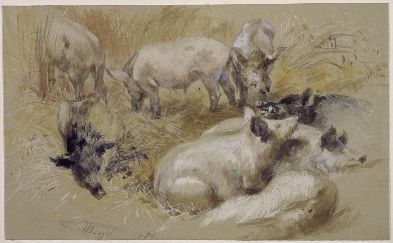 Sikoja viljapellossa tekijältä Adolph Menzel