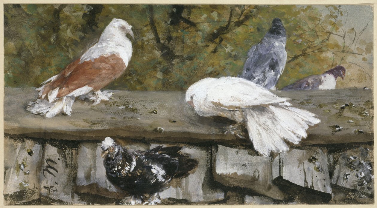 Kyyhkysiä puukatolla. "Lastenalbumista" tekijältä Adolph Menzel