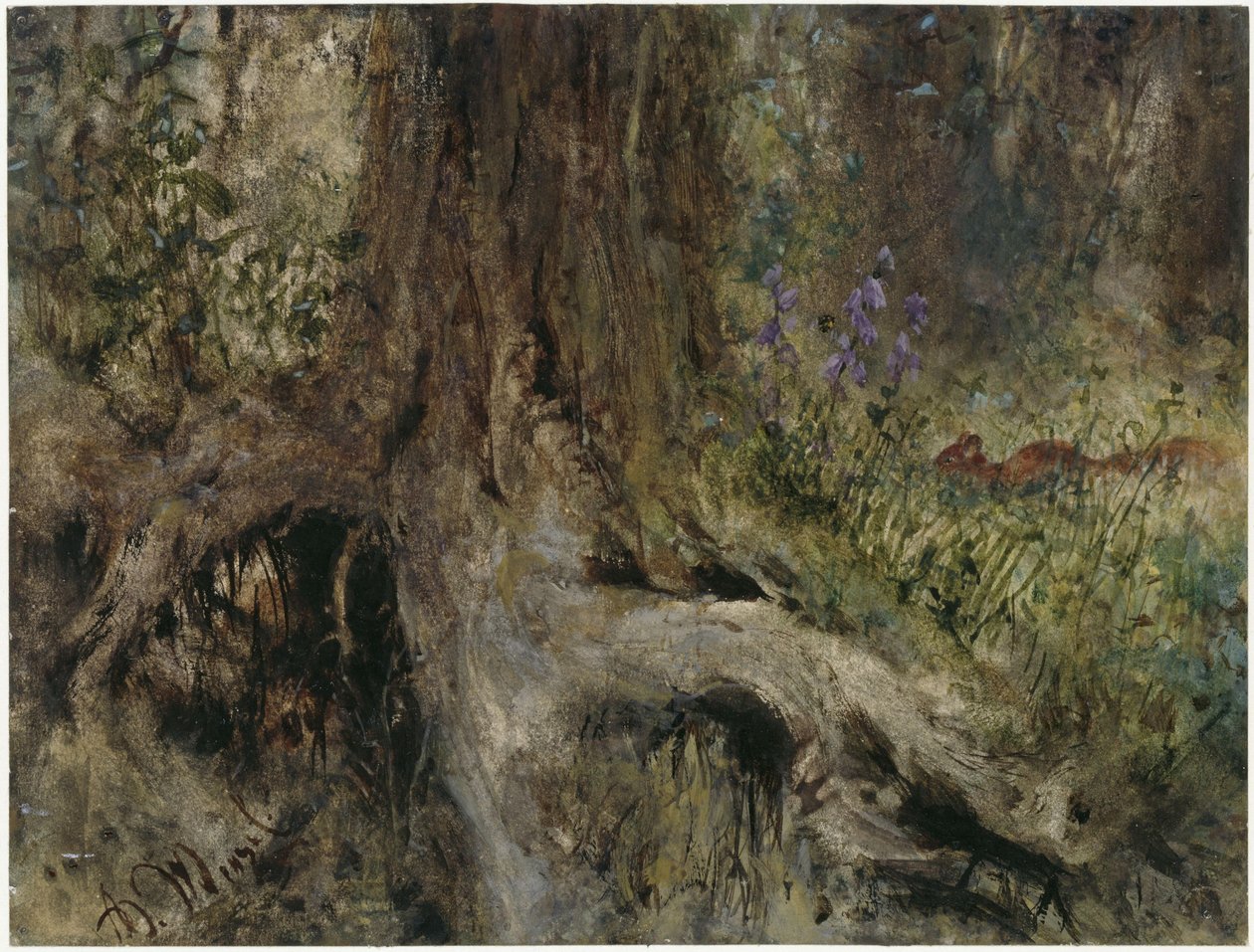 Metsänpohja, jossa on oravia. Teoksesta ”Lastenalbumi” tekijältä Adolph Menzel