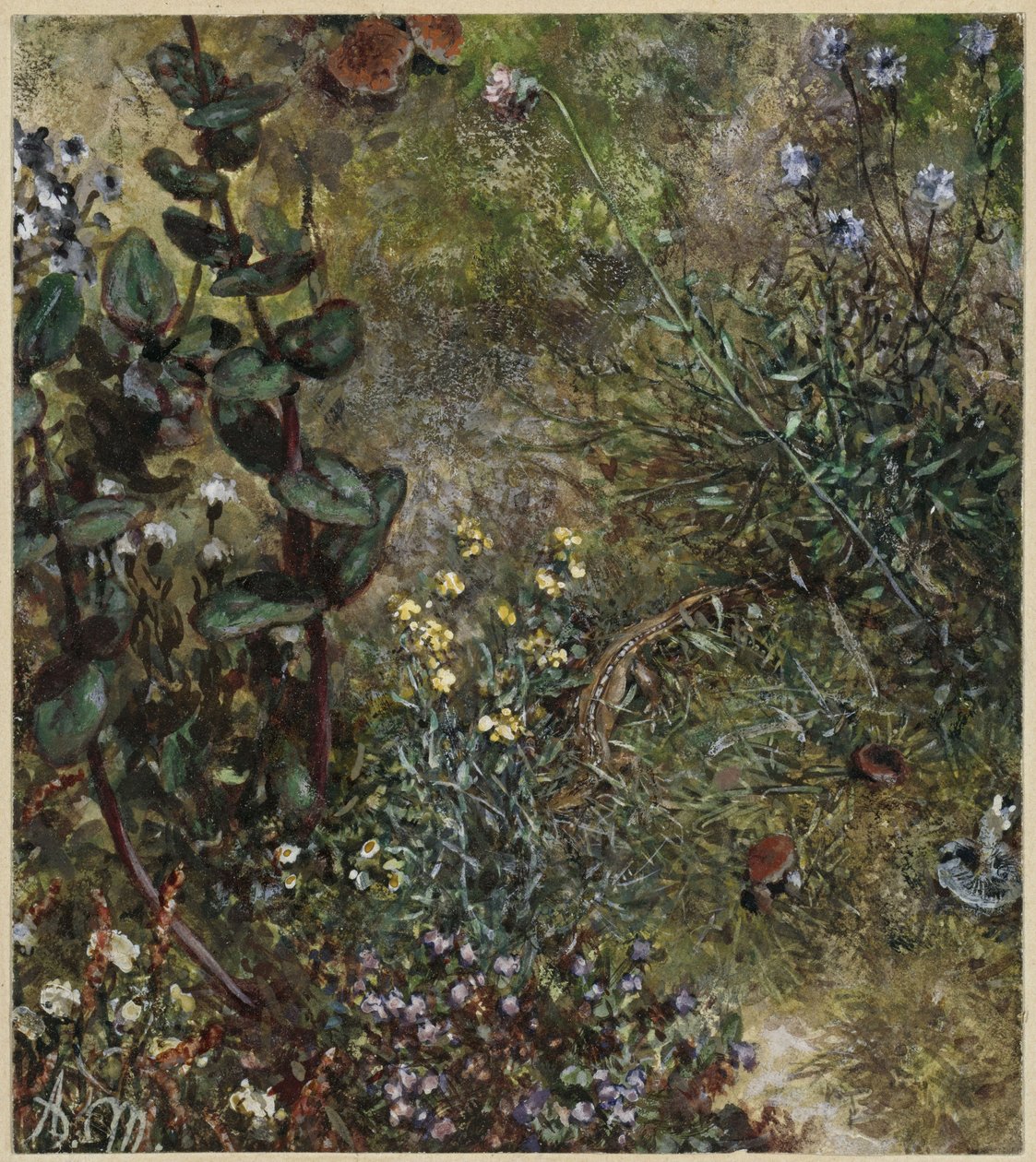 Metsän maaperä ja lisko. Teoksesta ”Lastenalbumi” tekijältä Adolph Menzel