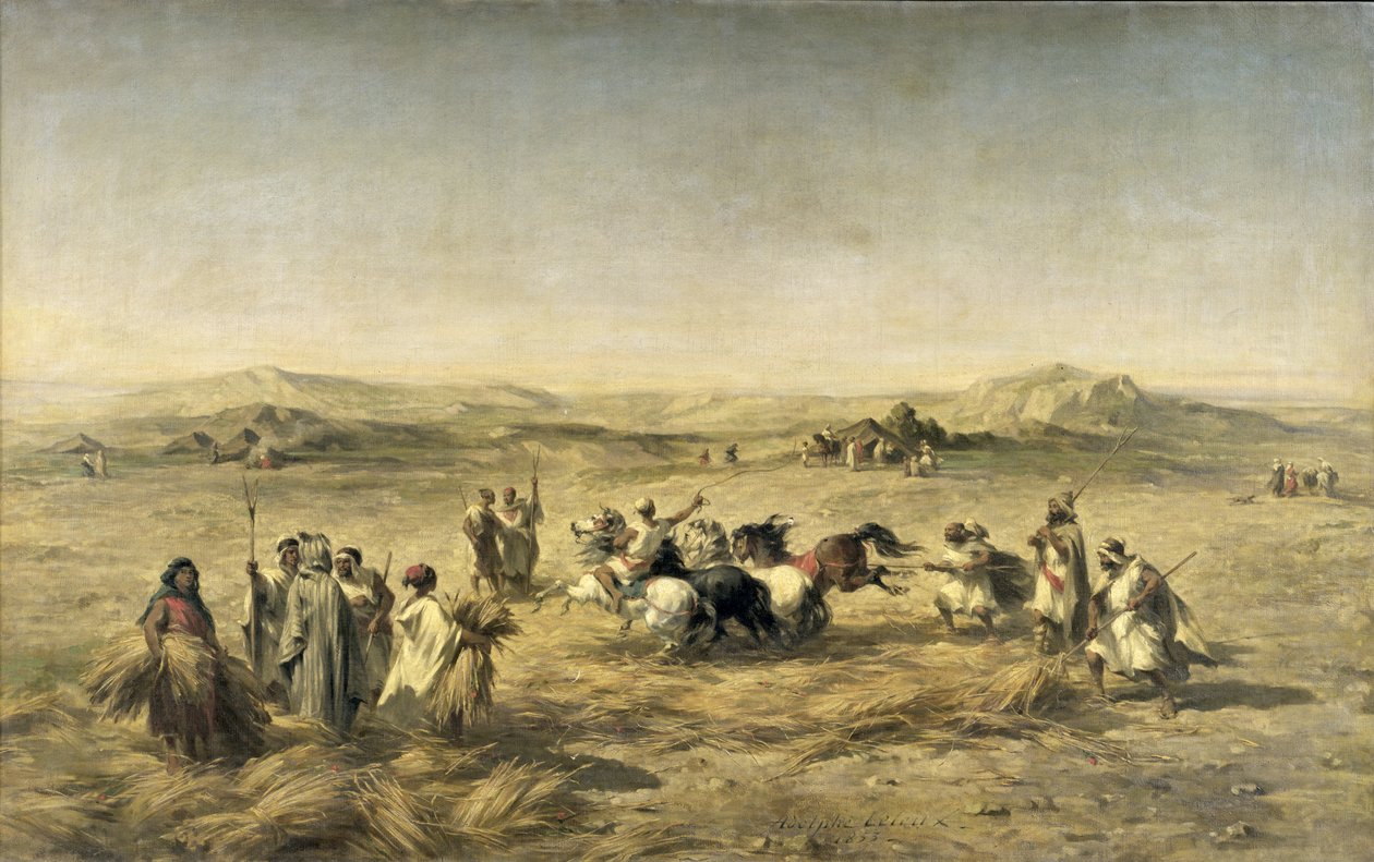 Vehnän puinti Algeriassa, 1853 tekijältä Adolphe Pierre Leleux